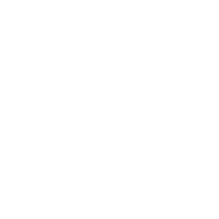 program icon