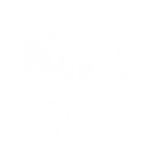 program icon